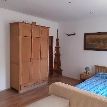 Apartment Veliki Studio
